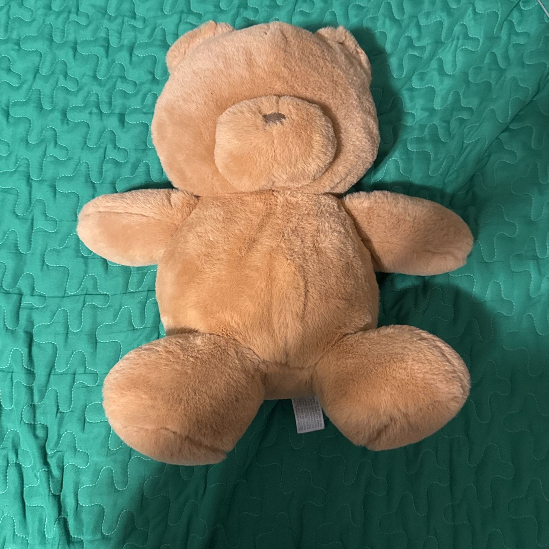 Teddy Bear