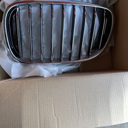 BMW Grills