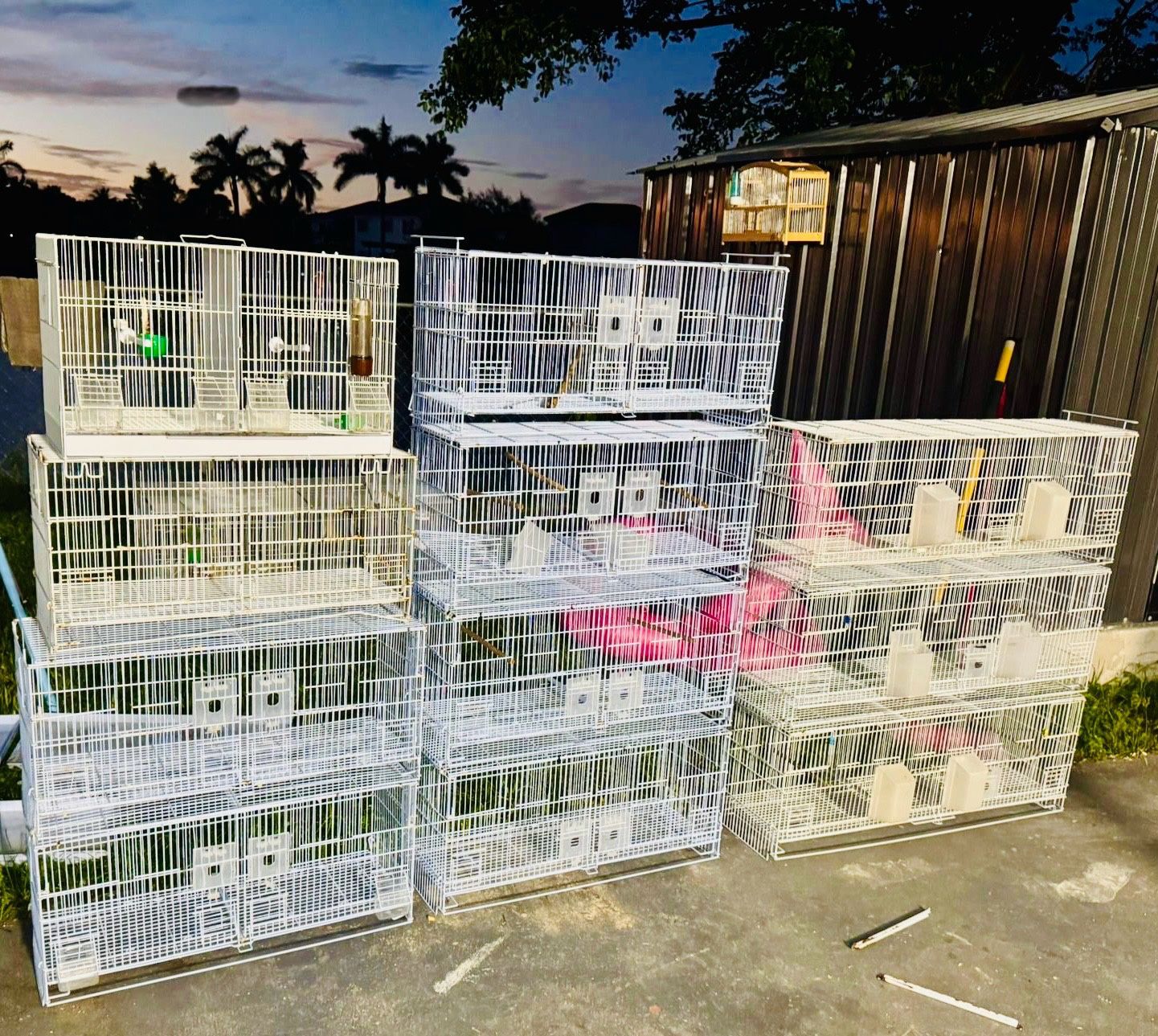 Jaulas Para Pájaros