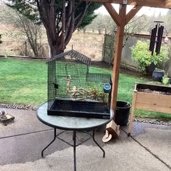 Spacious Bird Or Small Animal Cage $40