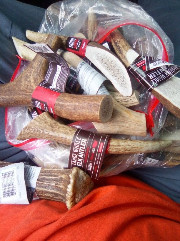 Elk @ Deer Antlers