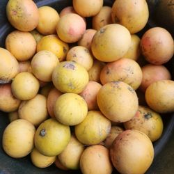 New Toronjas Grapefruit 