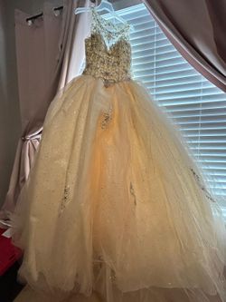 Quinceañera/ Sweet 16 Dress