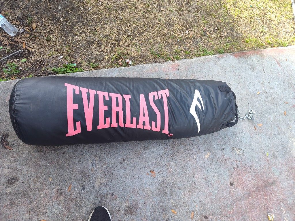 Everlast Punching Bag