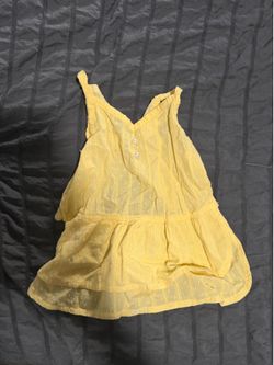 Dog yellow dress