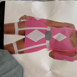Power Rangers Pink - Superhero Costumes