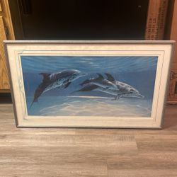 Dolphin Framed Painting