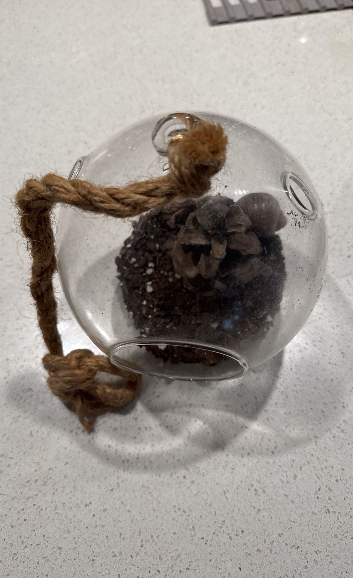 Hanging Glass Terrarium