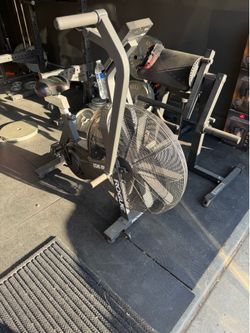 rogue echo bike
