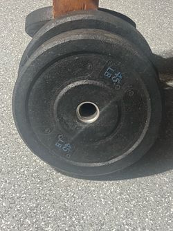 45 LB Rubber Bumper Weight Plates