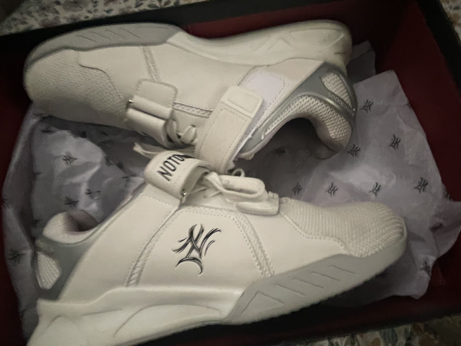 Notirious lift squat shoes