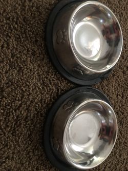 Cat/dog bowls