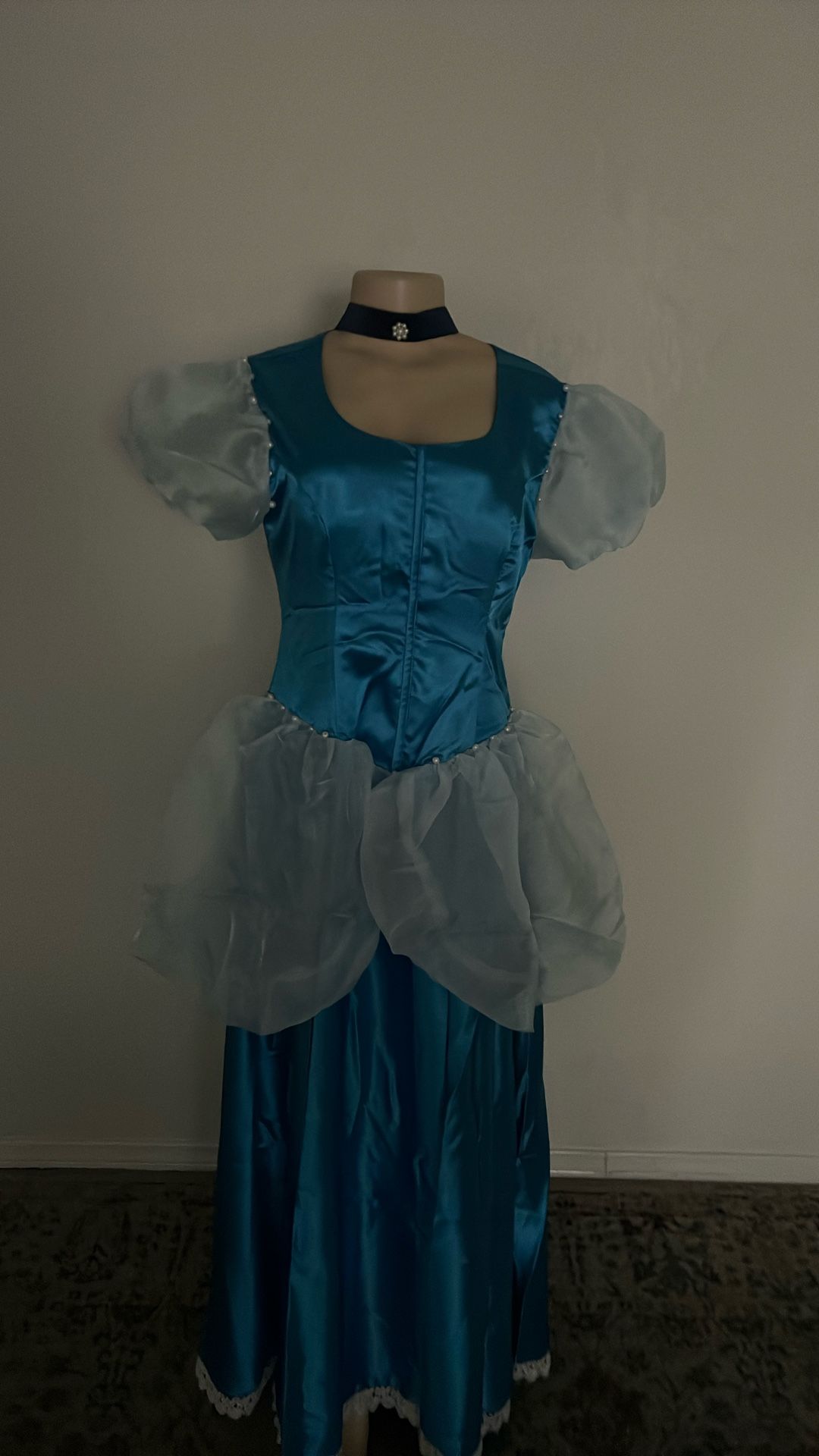 Cinderella Costume