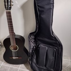 Ortega acoustic guitar And Case