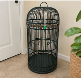 Big bird cage