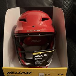 Slowpitch Pitching Mask 