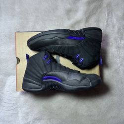 Jordan 12 Dark concord