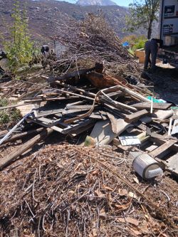 Junk wood, some usable.  Take all