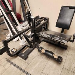 Paramount leg extension gym equipment exercise fitness weight machine