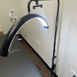 Half Moon LED Lash Lamp