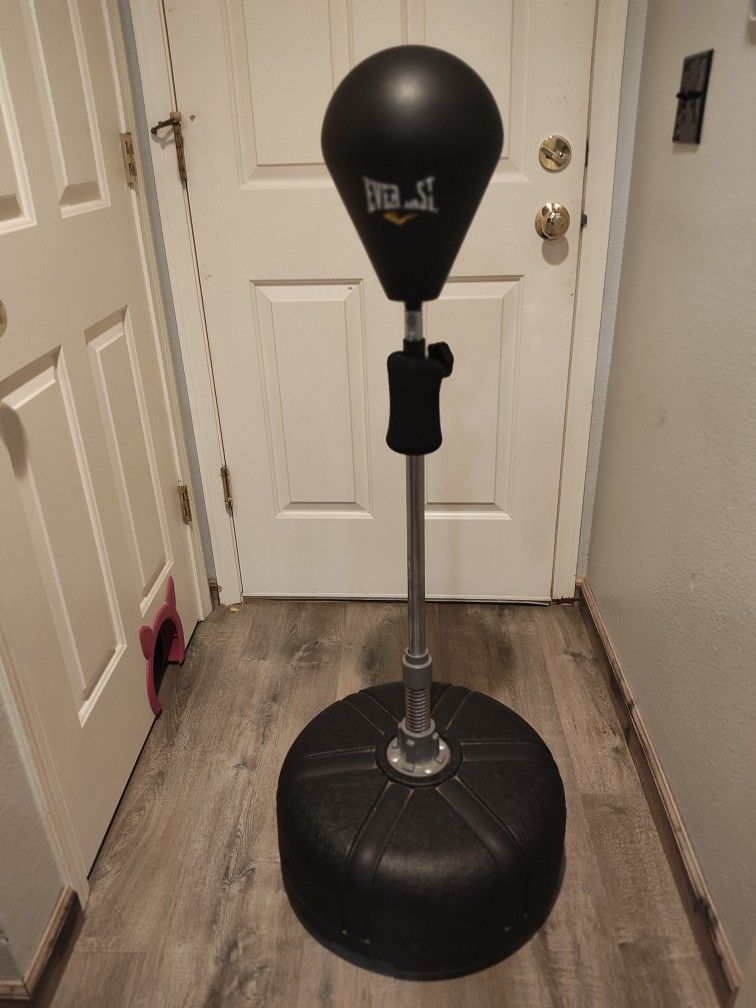 Everlast Reflex Punching Bag