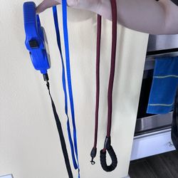 Dog Leashes 