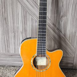 Ibanez Classical Acoustic/Electric Guitar 