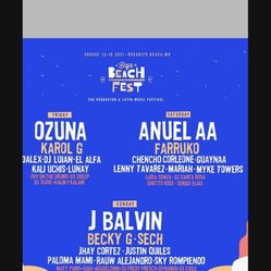 Baja Beach Fest Pass