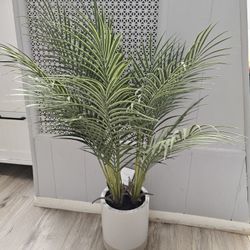 Fake Plant