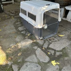 Dog Cage 