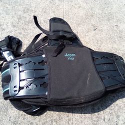 Aspen Vista Back Brace 11.00