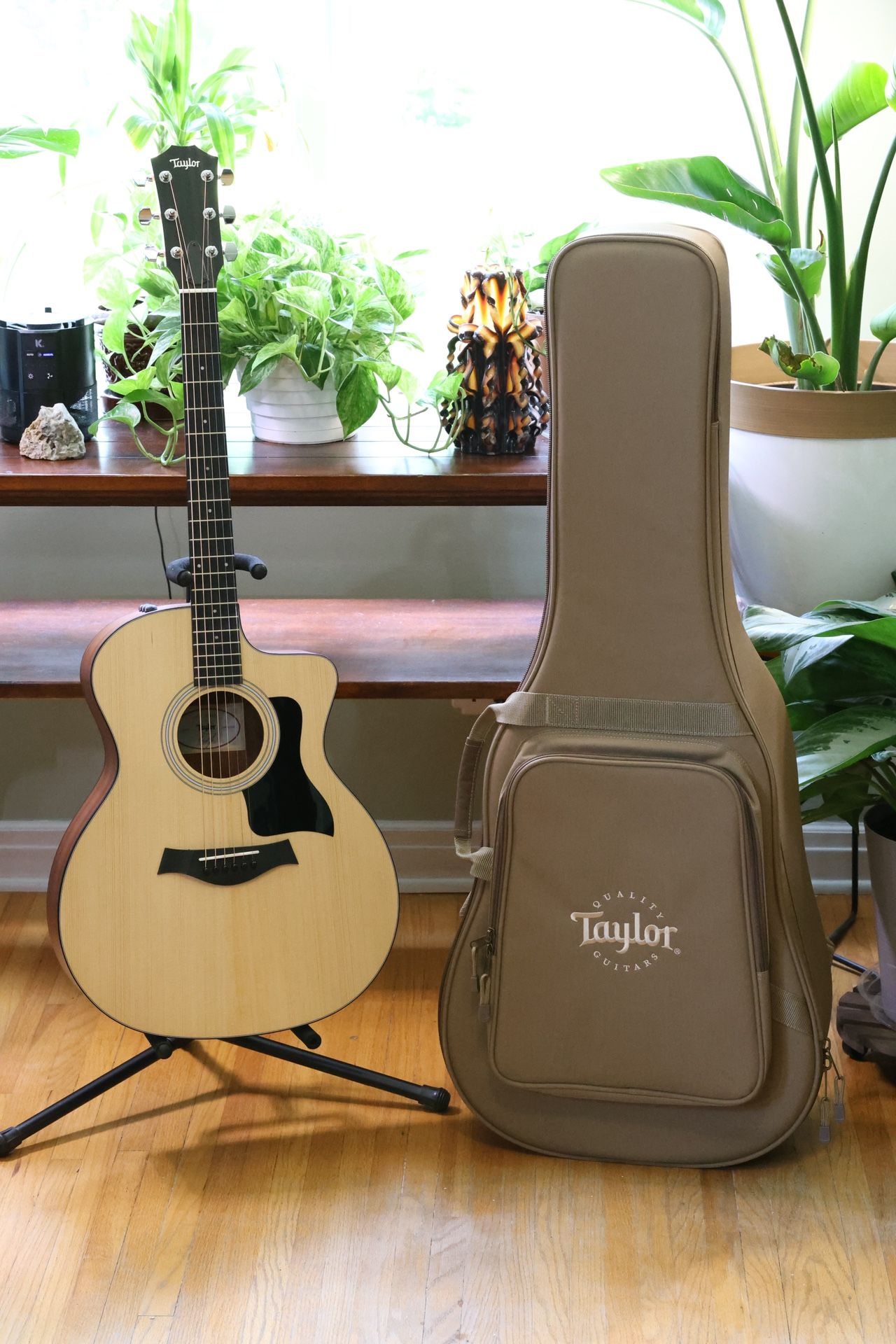 Taylor 114ce Acoustic Electric Guitar (Brand New)
