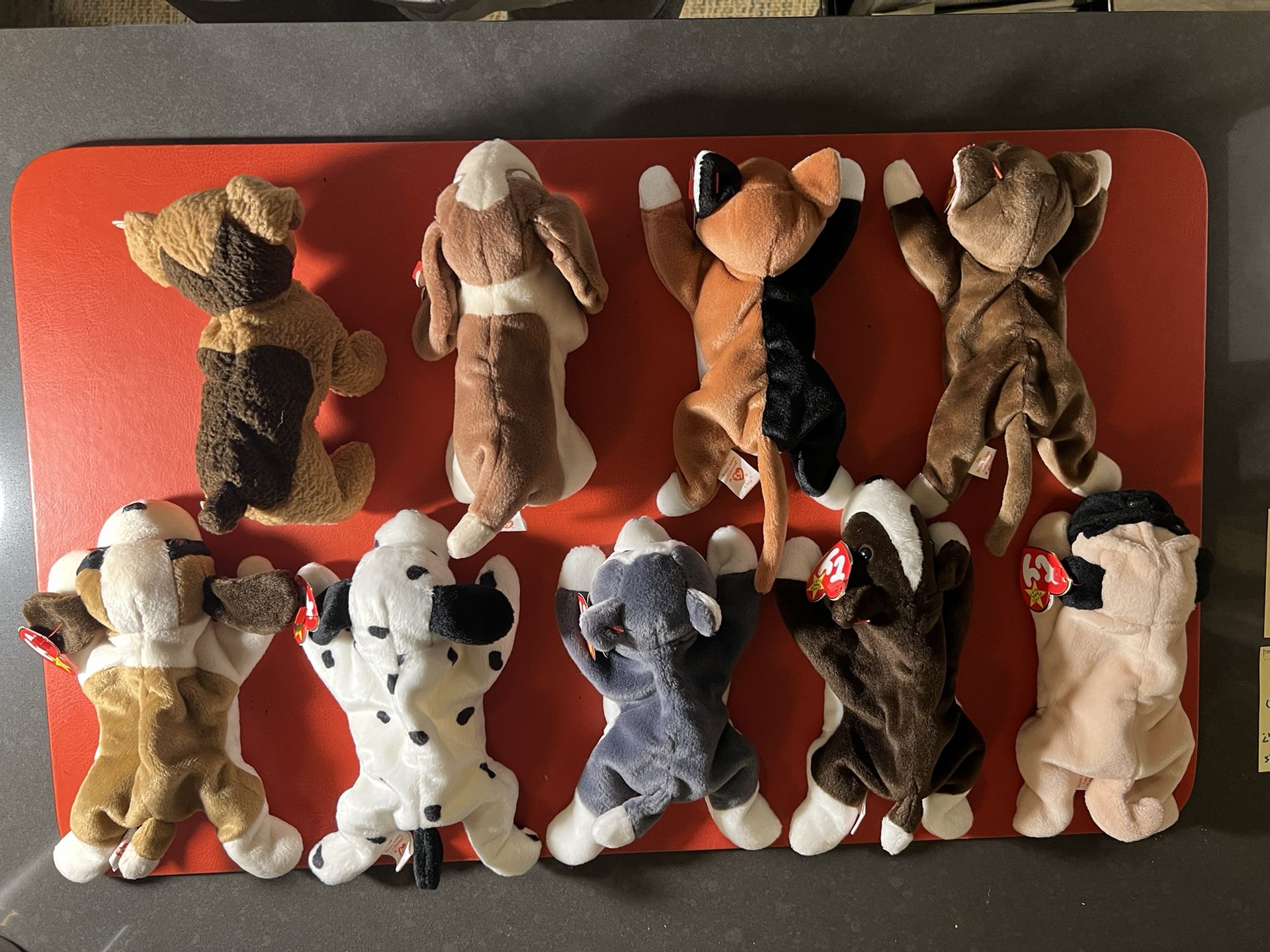 Beanie Babies - Dogs & Cats