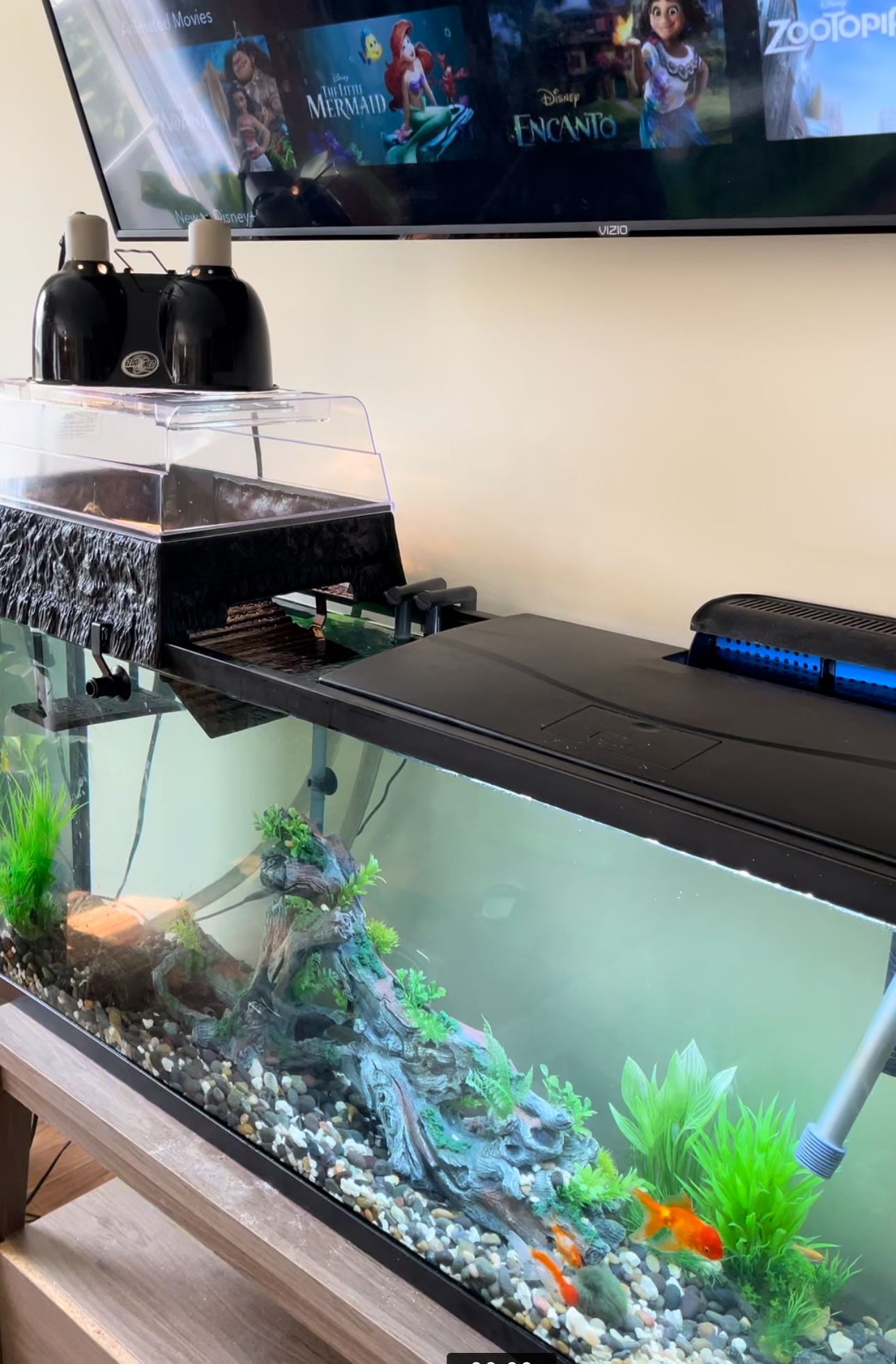 Fish Tank And Accessories