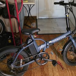 20 inch e bike Concord