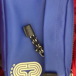 COACH Mini Edge Belt Bag
