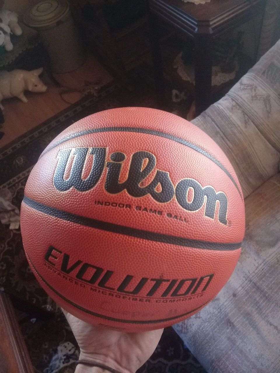 Evolution