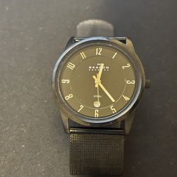 Skagen 124XLBBB Men’s Black Stainless Steel Mesh Analog Dial Quartz Watch