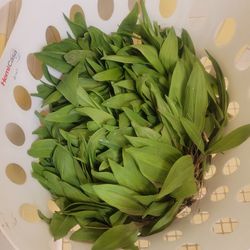 Ramps For Sale 