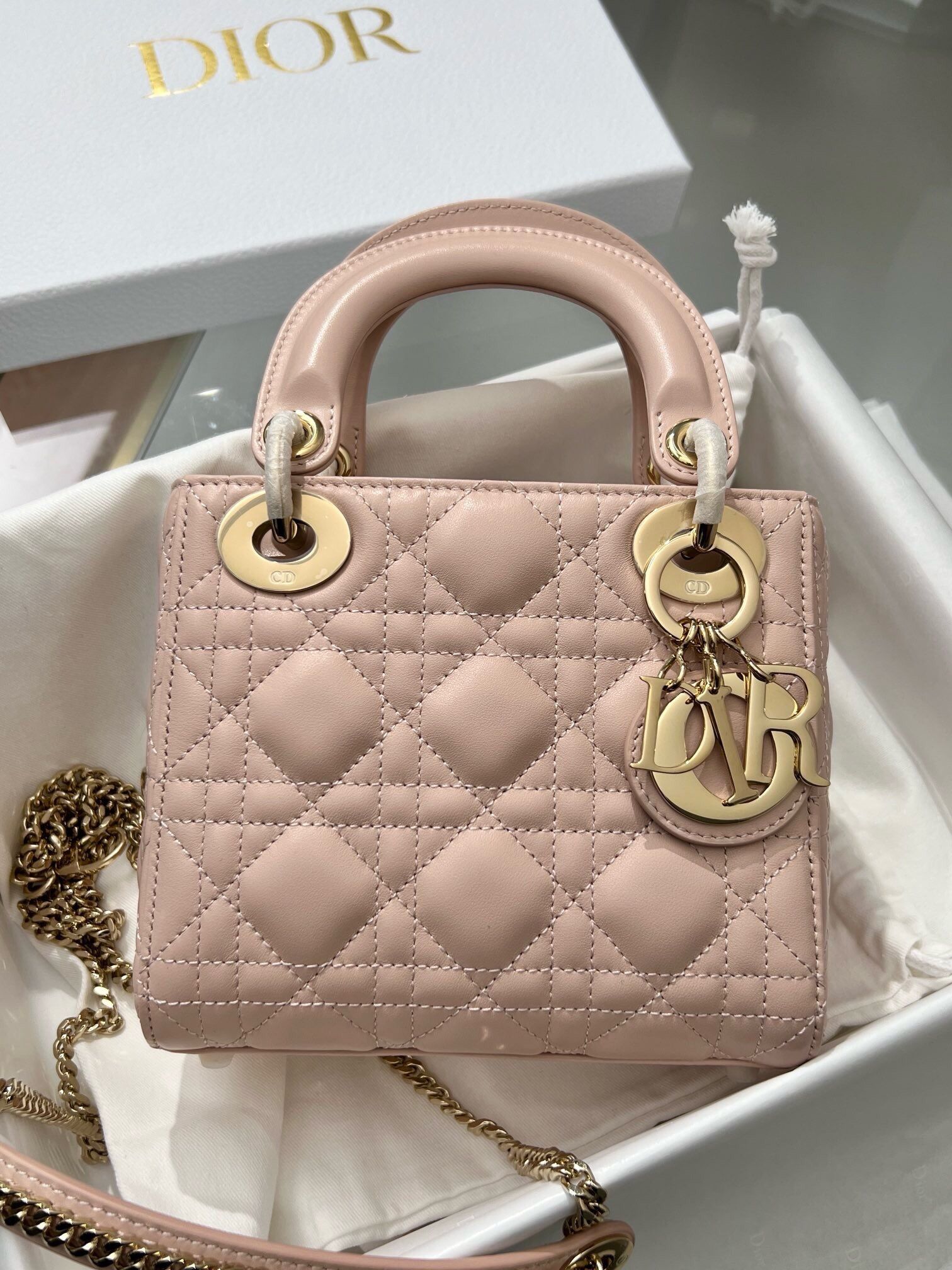 Ladies Dior Bag