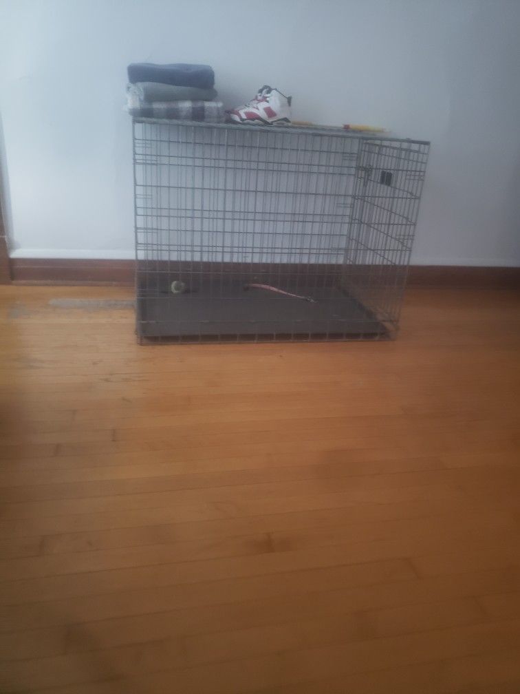 Dog Crate