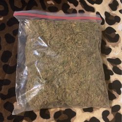 Reptile Safe Faux Moss 