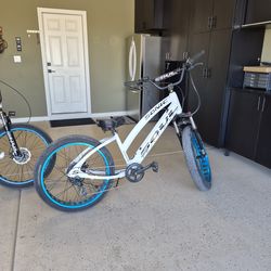 2 Sonic Soul Striker Electric Bikes