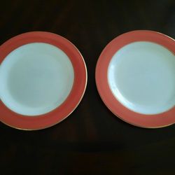 Vintage Pyrex Dinner Plates (2)