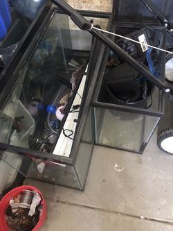 Fish Tank
