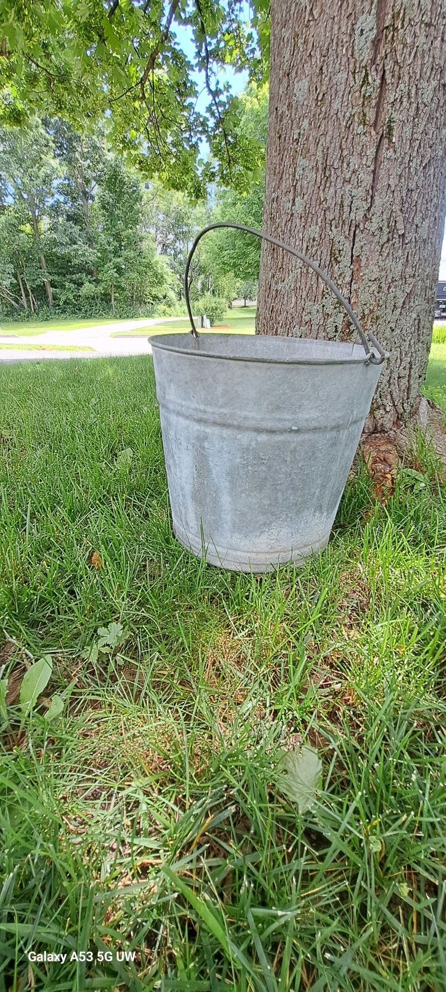 Vintage Galvanized Pail