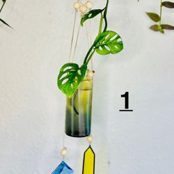 Handmade propagation, sun catcher planter