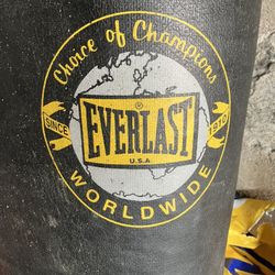 Everlast Heavy Bag 70lb Boxing Punching Bag with Chains – Choice of Champions