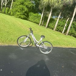 Girl Bike Seat Is For Girls 