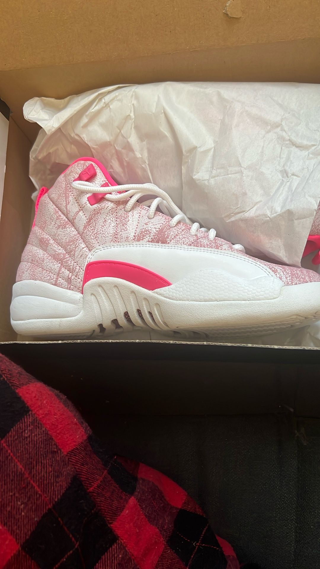 Air Jordan 12 Retro